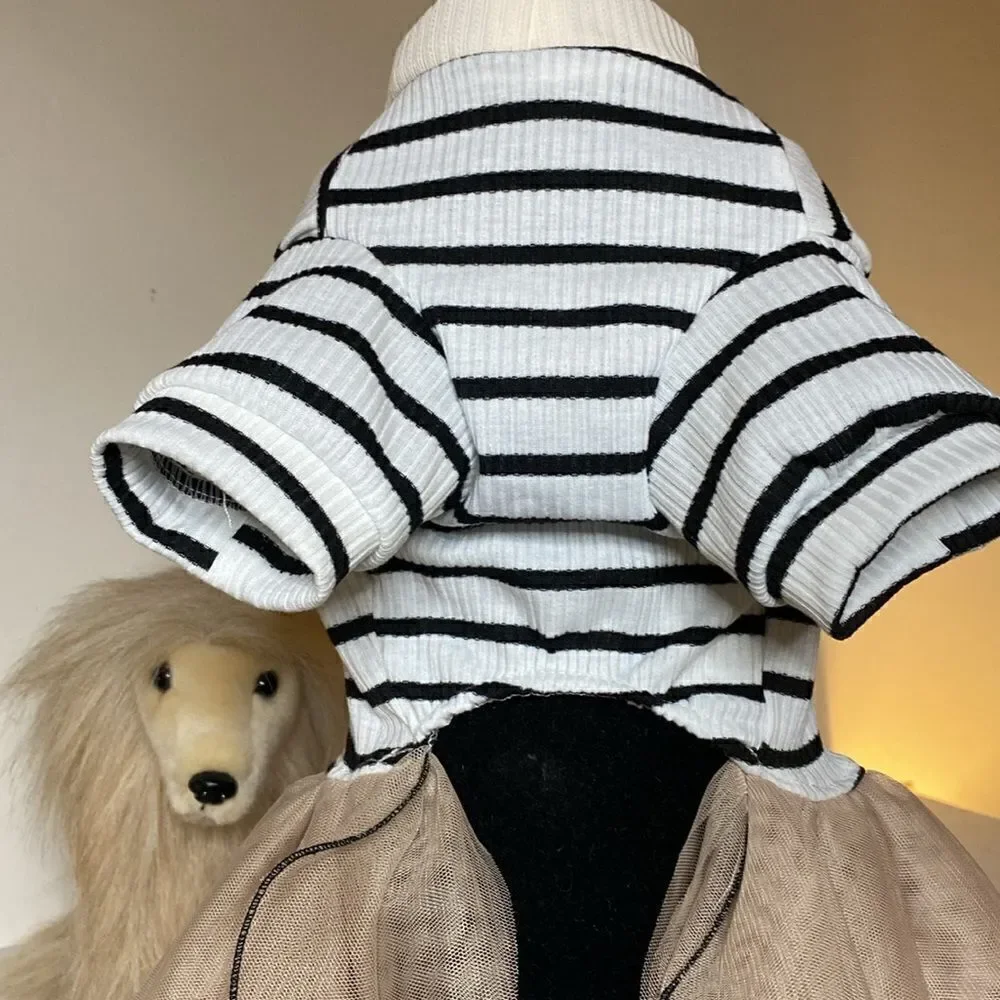 Teddy Bear Tulle Skirt Dog Dress
